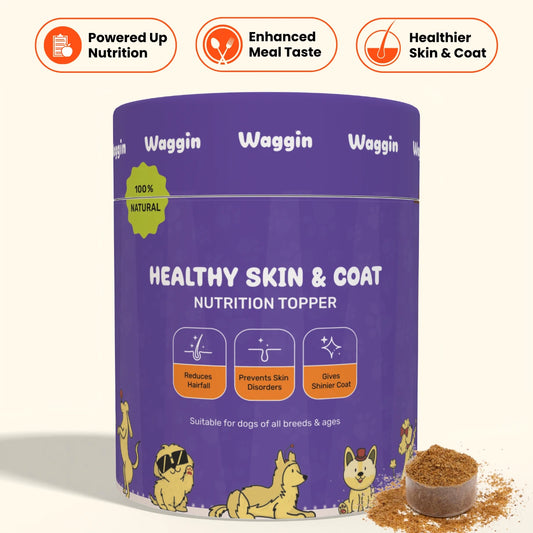 Skin & Coat Everyday Nutrition Topper