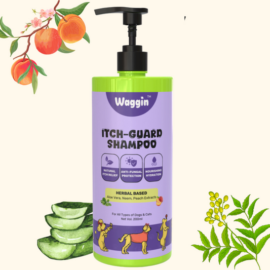 Itch-Guard Shampoo | Herbal Aloe Vera, Neem, Peach Extracts